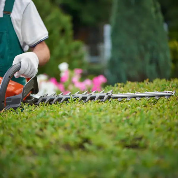 A man wearing a green shirt and white gloves operates a hedge trimmer in a garden setting.
