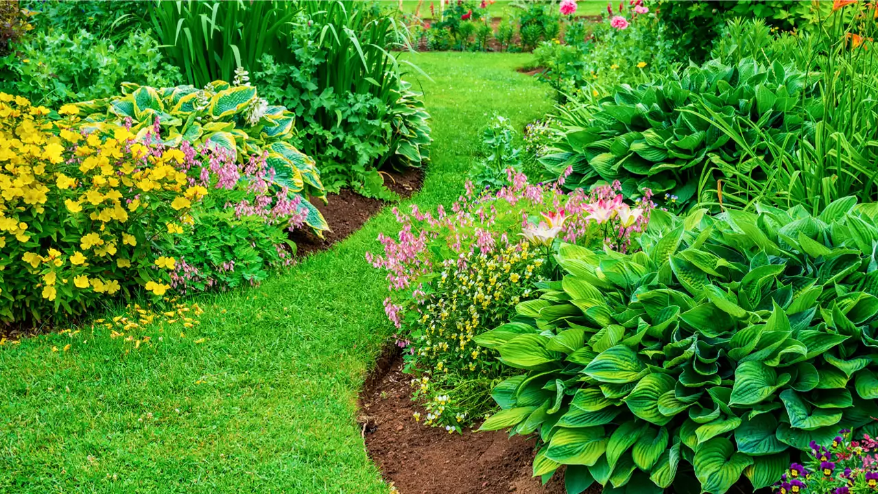 A vibrant garden filled with a variety of colorful flowers in full bloom, showcasing diverse shapes and sizes.