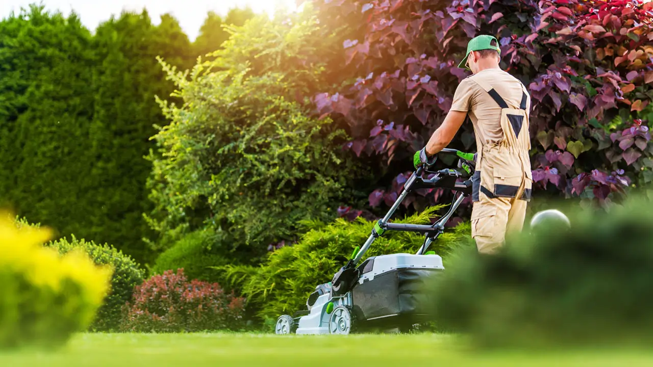 A man using a lawn mower to cut grass in a well-maintained yard.