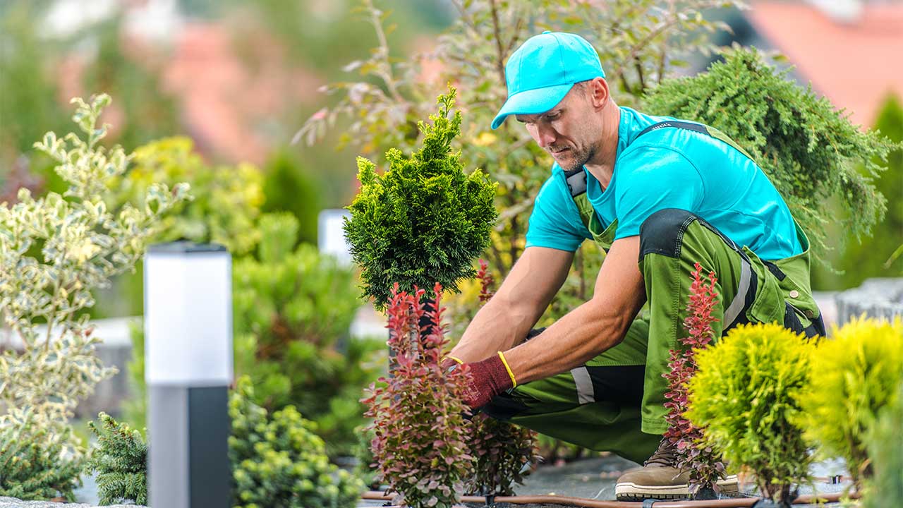 A man wearing a green shirt and hat tends to a garden, surrounded by plants and soil.