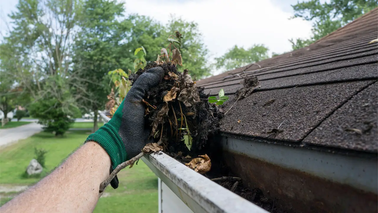 A person wearing gloves cleans a gutter, removing debris and leaves for proper drainage.