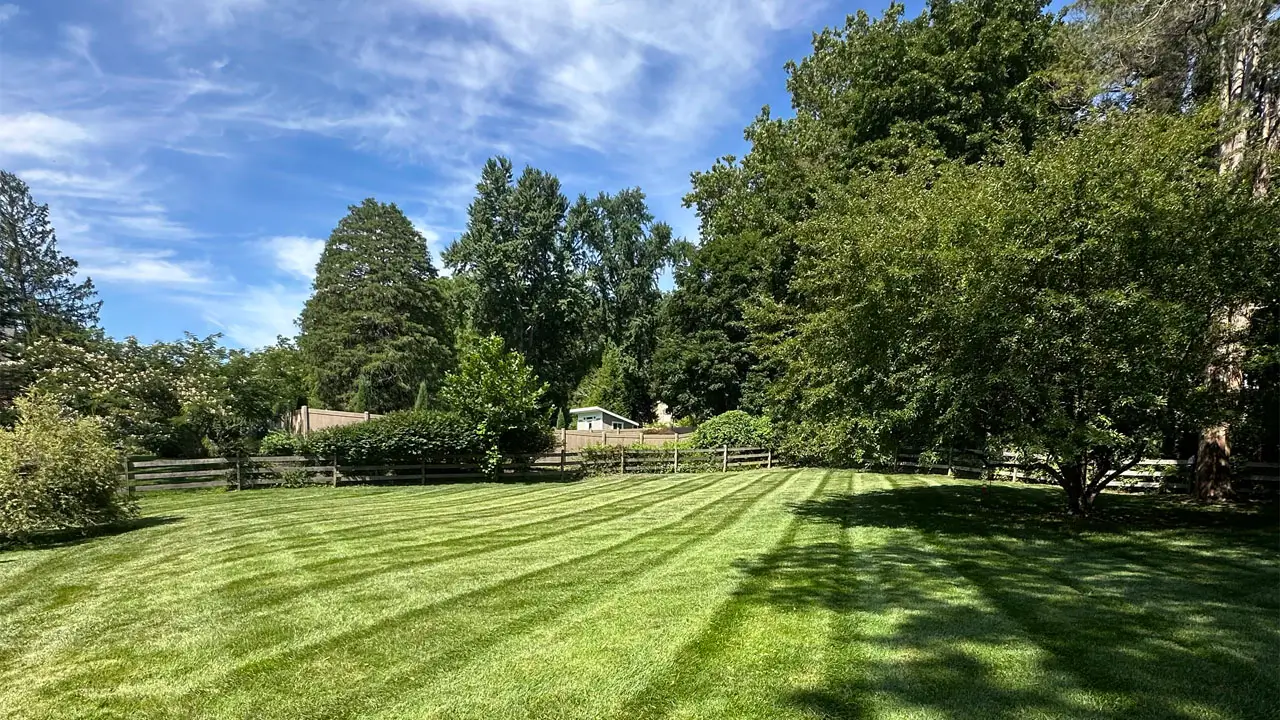 A spacious yard featuring a wooden fence and several trees, creating a serene outdoor environment.