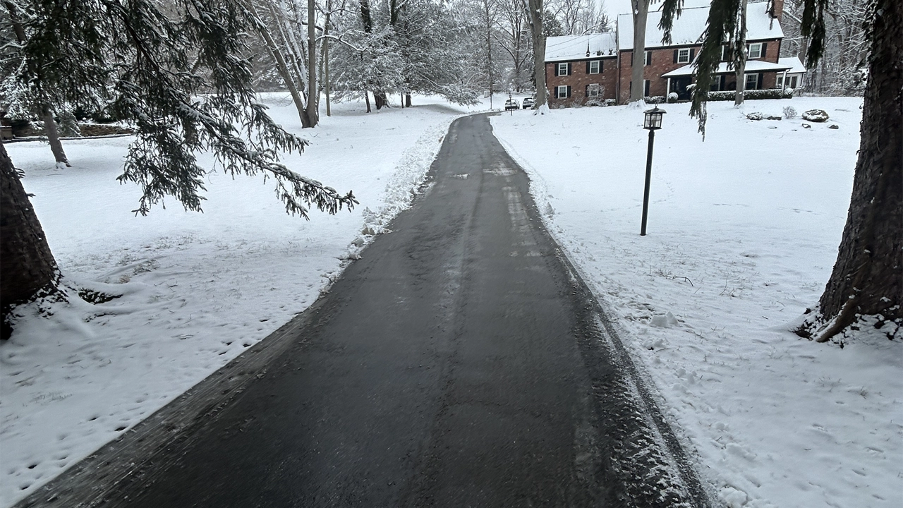 A snowy road with a solitary tree standing in the center, surrounded by a winter landscape.