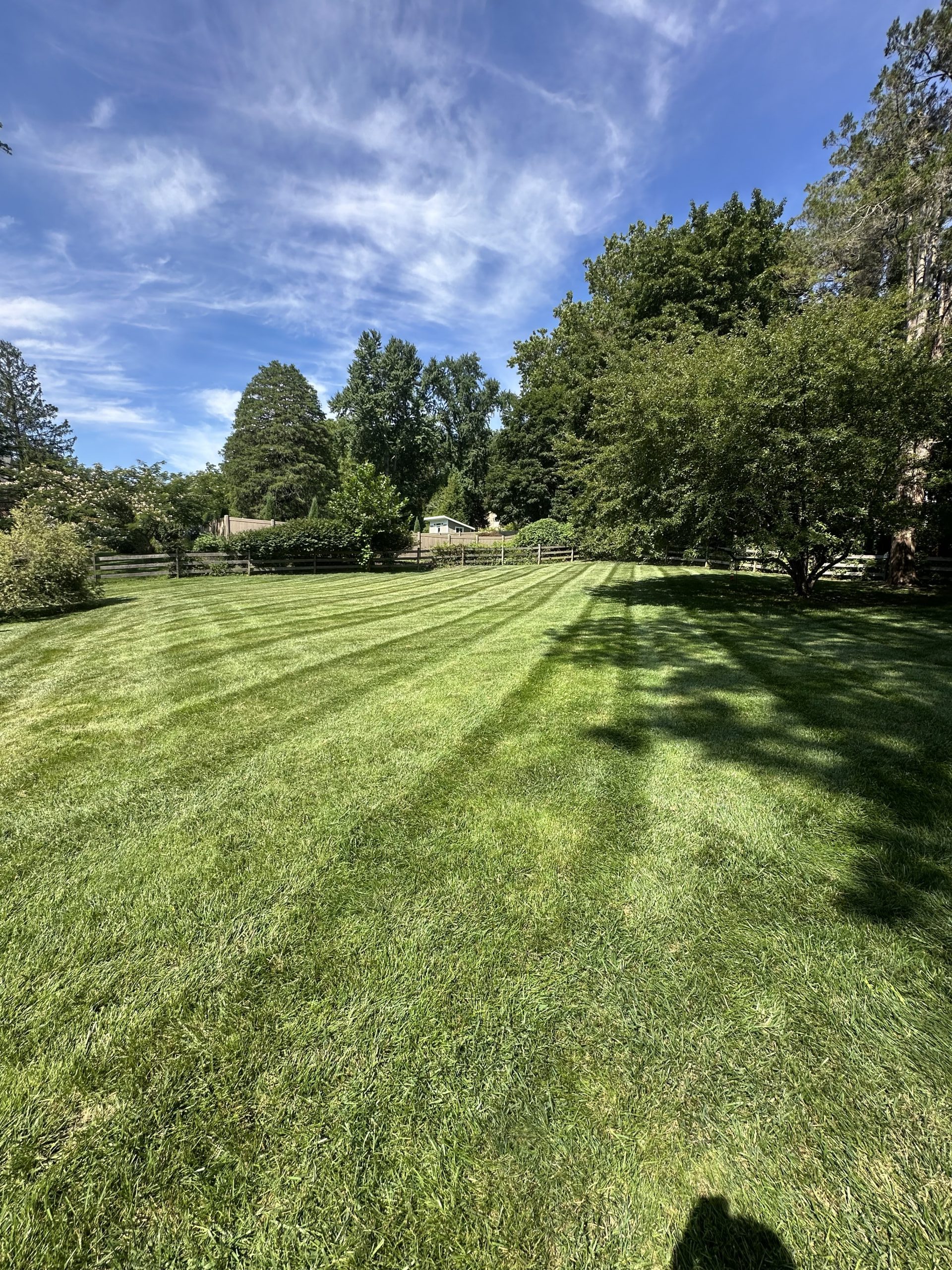 after results of lawn care service